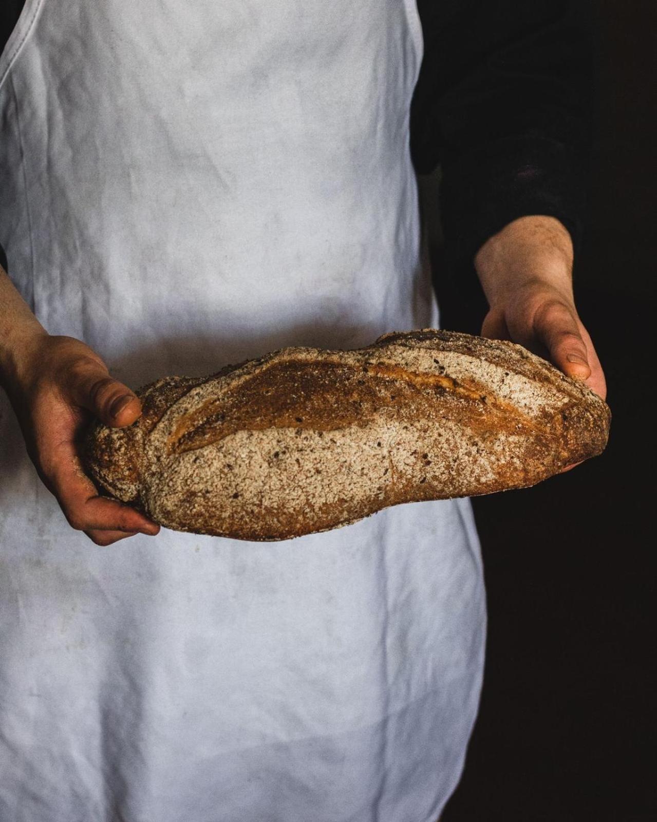 체세나 Agricola Casa Cucina Bottega 빌라 외부 사진